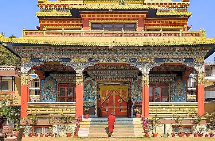 Dolmaling - For Cause Kathmandu